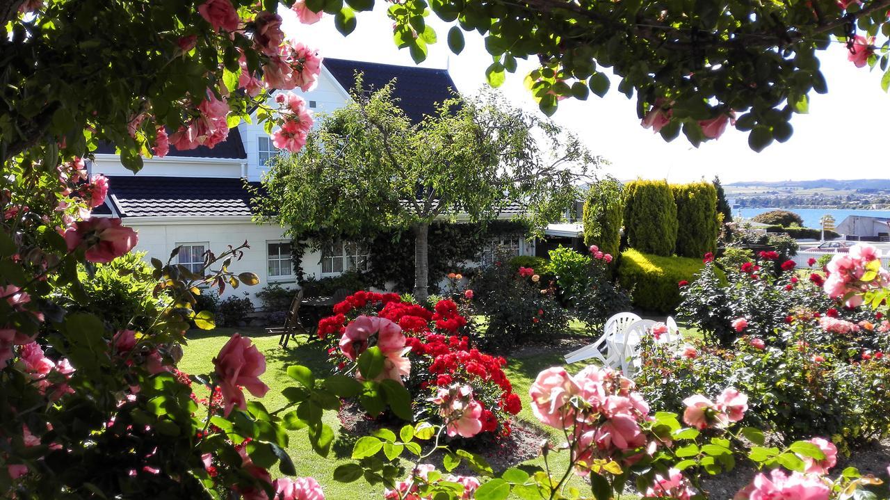 Phoenix Thermal Resort - Taupo Eksteriør billede