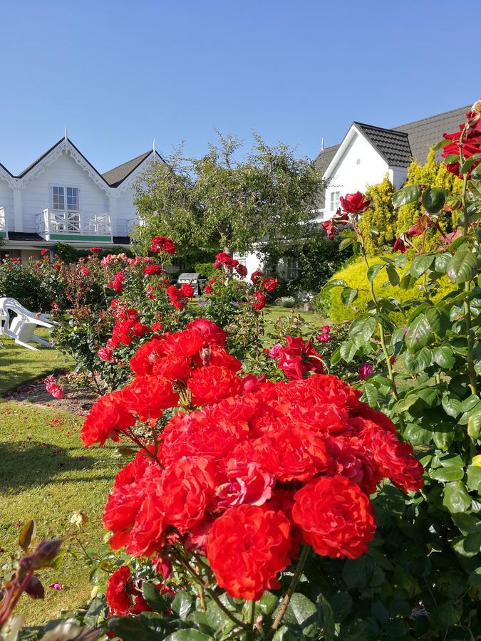 Phoenix Thermal Resort - Taupo Eksteriør billede