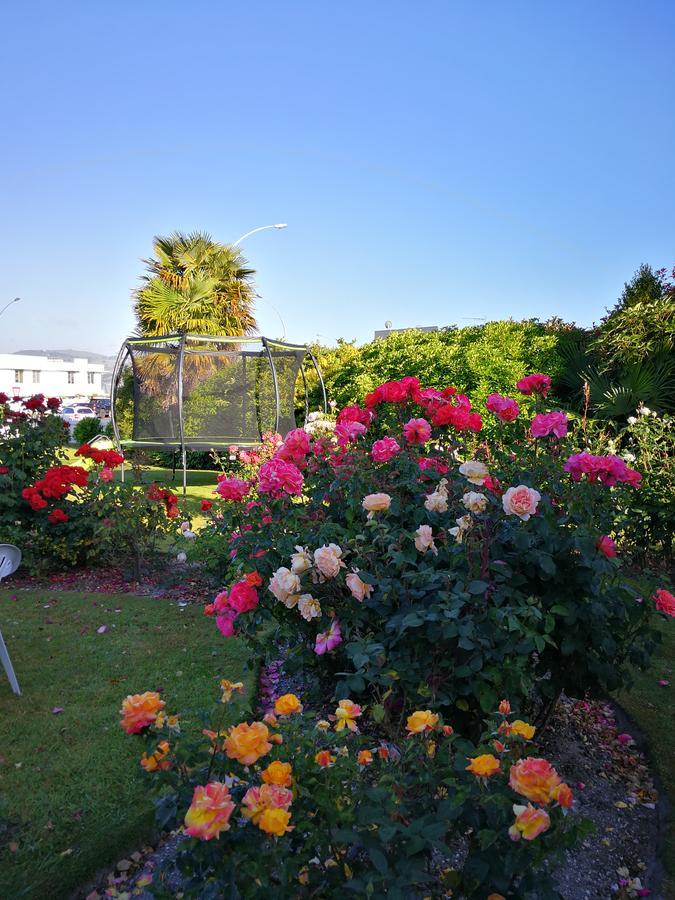 Phoenix Thermal Resort - Taupo Eksteriør billede