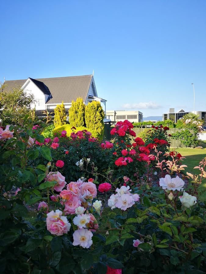 Phoenix Thermal Resort - Taupo Eksteriør billede